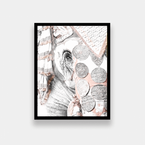 Ducba Manny Framed Print